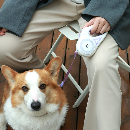 Retractable Dog Leash with Collar- Automatic Pet Rope for small & Medium Dogs and Cats